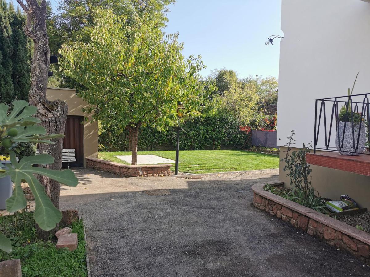 La Maison De Lucie - Grande Maison Ideale En Famille Ou Entre Amis - Jardin - Parking Gratuit Sélestat Eksteriør billede
